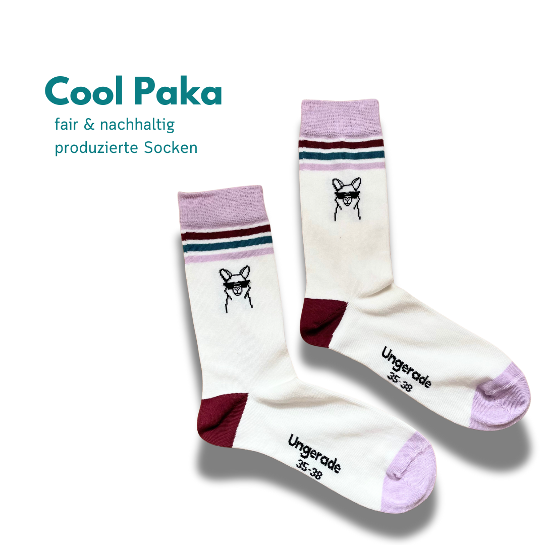 Nachhaltige Socken mit Cool Paka Motiv auf weißem Hintergrund