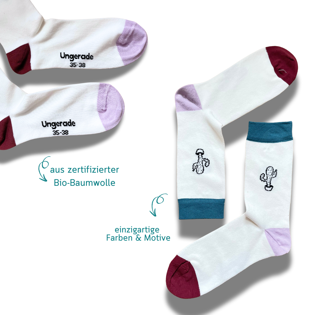 Nachhaltige Socken mit Kaktus Motiv auf weißem Hintergrund