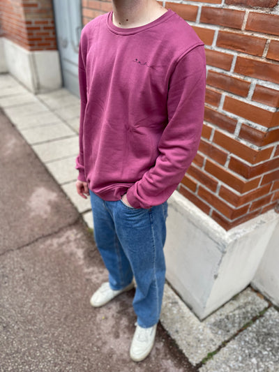 Mann in nachhaltigem Sweatshirt in Rosarot mit Insel-Motiv aus Wien von vorne