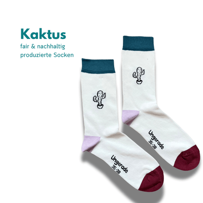 Nachhaltige Socken mit Kaktus Motiv auf weißem Hintergrund